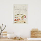 Schöne Vintage botanische Illustration Poster (Küche)