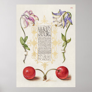 Schöne Vintage botanische Illustration Poster