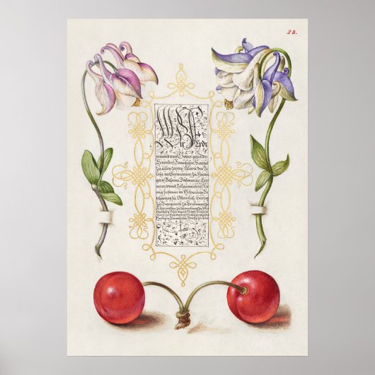 Schöne Vintage botanische Illustration Poster (Vorne)