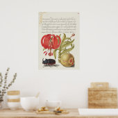 Schöne Vintage botanische Illustration Poster (Küche)