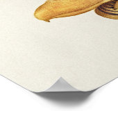 Schöne Vintage botanische Illustration Poster (Ecke)