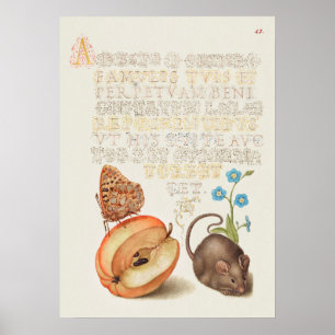 Schöne Vintage botanische Illustration Poster