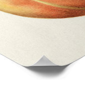 Schöne Vintage botanische Illustration Poster (Ecke)