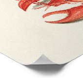 Schöne Vintage botanische Illustration Poster (Ecke)