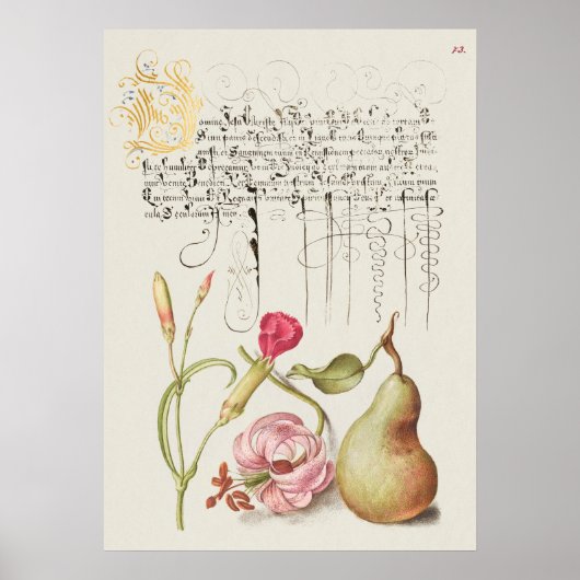 Schöne Vintage botanische Illustration Poster (Vorne)