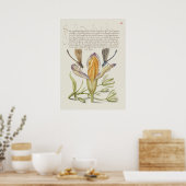 Schöne Vintage botanische Illustration Poster (Küche)