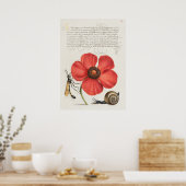 Schöne Vintage botanische Illustration Poster (Küche)