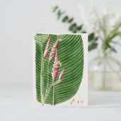 Schöne Vintage botanische Illustration Postkarte (Stehend Vorderseite)