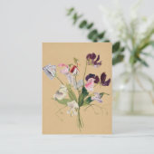 Schöne Vintage botanische Illustration Postkarte (Stehend Vorderseite)