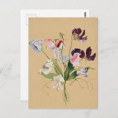 Schöne Vintage botanische Illustration Postkarte (Vorne/Hinten)