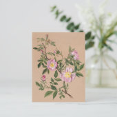 Schöne Vintage botanische Illustration Postkarte (Stehend Vorderseite)