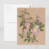 Schöne Vintage botanische Illustration Postkarte (Vorne/Hinten)