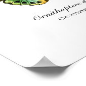 Schöne Vintage Butterfly Print Poster (Ecke)