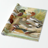 Schöne Vintage Enten am Teich Geschenkpapier (Ungerollt)
