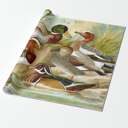 Schöne Vintage Enten am Teich Geschenkpapier (Ungerollt)