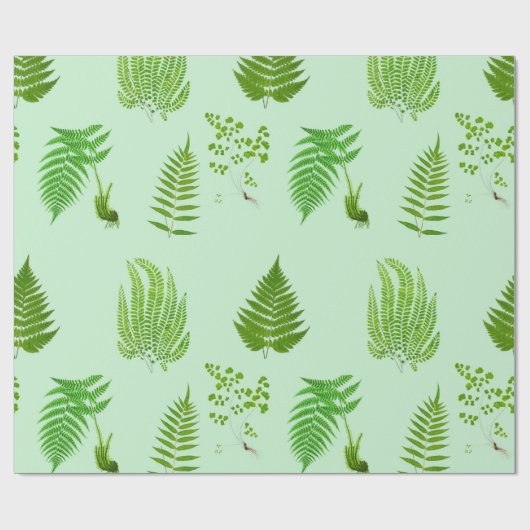 Schöne Vintage-Farn-Gemälde Geschenkpapier (Flach)