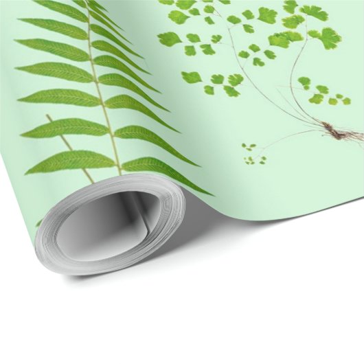 Schöne Vintage Farne Bilder Geschenkpapier (Rolleneckpunkt)