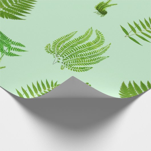 Schöne Vintage Farne Bilder Geschenkpapier (Ecke)