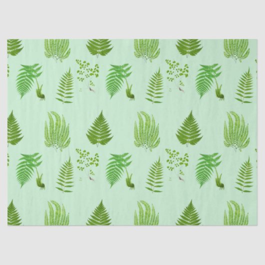 Schöne Vintage Farne Bilder Seidenpapier (Vorderseite)