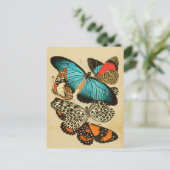 Schöne Vintage Gartenschmetterlinge Postkarte (Stehend Vorderseite)