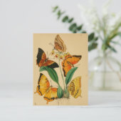 Schöne Vintage Gartenschmetterlinge Postkarte (Stehend Vorderseite)