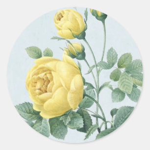 Schöne Vintage-Gelbröse-Aufkleber Runder Aufkleber