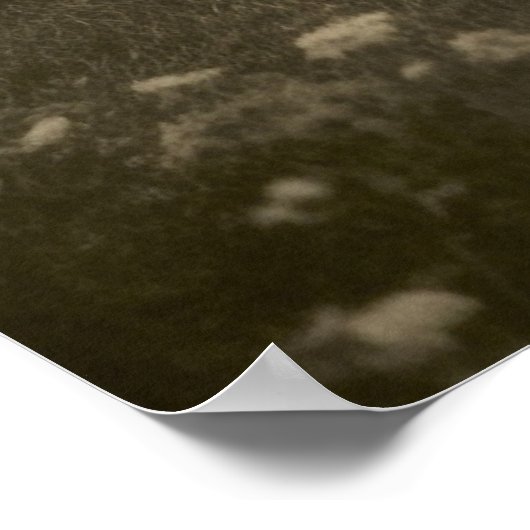 Schöne Vintage Mädels Poster (Ecke)