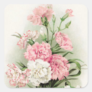 Schöne Vintage-Nelken-Blumenaufkleber Quadratischer Aufkleber