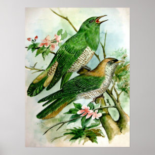 schöne Vintage-Plakatmalerei 27 Poster
