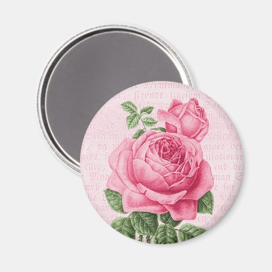 Schöne Vintage Rosa Rosa Magnet (Vorderseite/Rückseite)