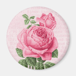 Schöne Vintage Rosa Rosa Magnet