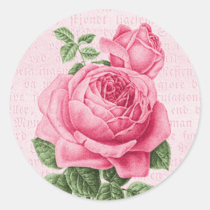 Schöne vintage rosa Rose Runder Aufkleber