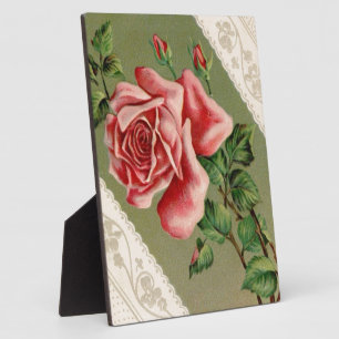 Schöne Vintage Rosa- und Lace-Plaque Fotoplatte
