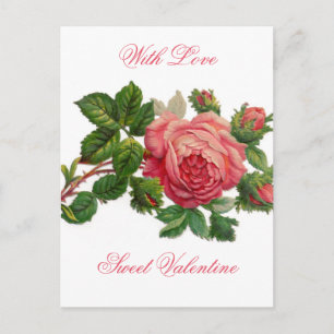 Schöne Vintage-Rose Englisch Rosa Valentinstag Feiertagspostkarte