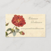 Schöne Vintage Rose in Rot Visitenkarte (Rückseite)
