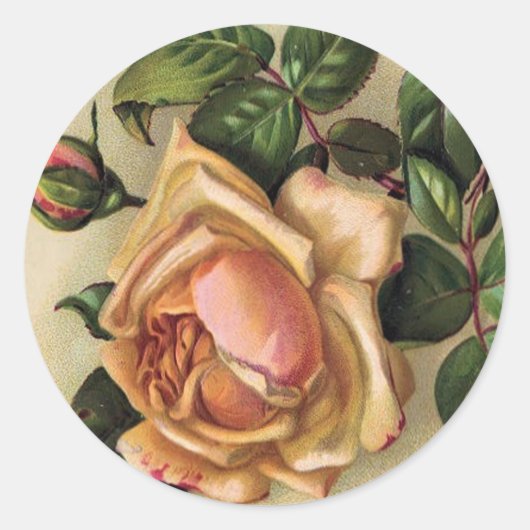 *Schöne Vintage Rose* Runder Aufkleber (Vorderseite)