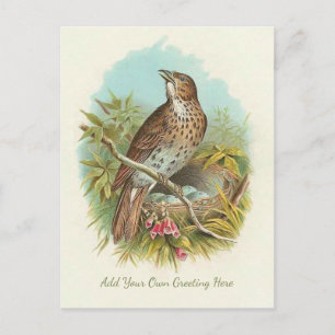 Schöne Vintage Vögel ergänzen Ihren Gruß Postkarte