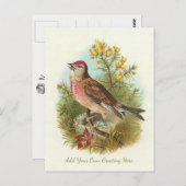 Schöne Vintage Vögel ergänzen Ihren Gruß Postkarte (Vorne/Hinten)