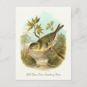 Schöne Vintage-Vögel - Fügen Sie Ihre eigene Grußb Postkarte