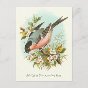Schöne Vintage-Vogel-Grußkarte zum Selbstgestalten Postkarte