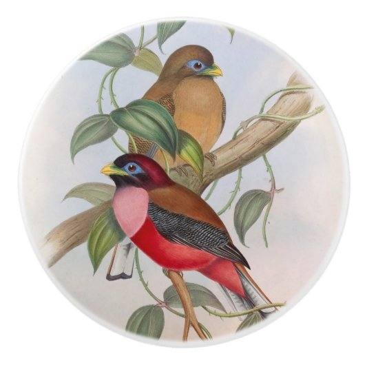 Schöne Vintage Vögel Modernes Bauernhaus Keramikknauf (Vorderseite)