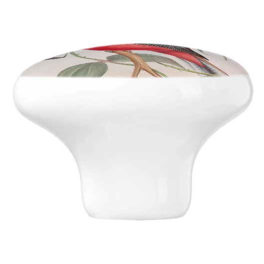 Schöne Vintage Vögel Modernes Bauernhaus Keramikknauf (Seitenansicht)