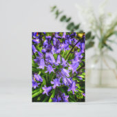 Schöne violette Blumen Postkarte (Stehend Vorderseite)