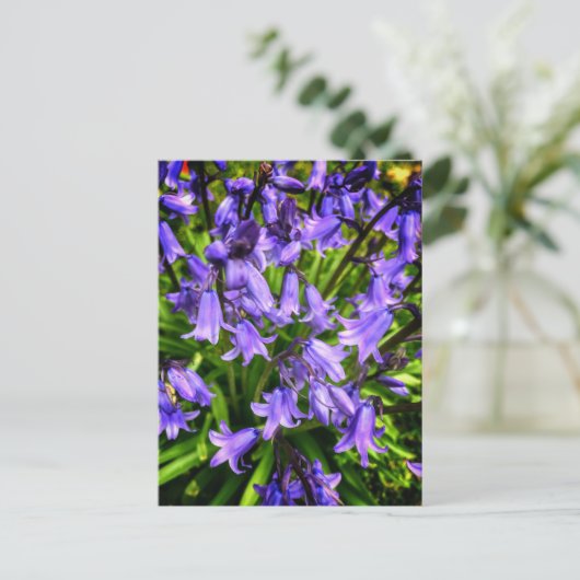 Schöne violette Blumen Postkarte (Stehend Vorderseite)