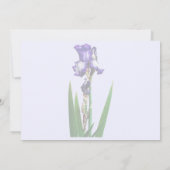 Schöne violette Iris Einladung (Rückseite)