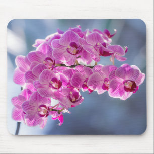 Schöne violette Orchidee Mousepad
