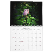 Schöne Visionen großer Wall Kalender 2024 (Mär 2026)