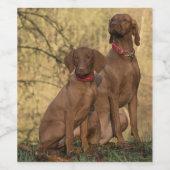Schöne Vizsla Sporting Hunde Weinetikett (Einzelnes Label)