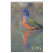 Schöne Vögel 2023 Mauerkalender Kalender (Titelbild)