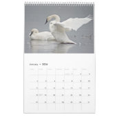Schöne Vögel 2023 Mauerkalender Kalender (Jan 2026)